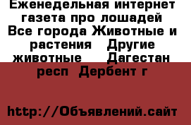 Еженедельная интернет - газета про лошадей - Все города Животные и растения » Другие животные   . Дагестан респ.,Дербент г.